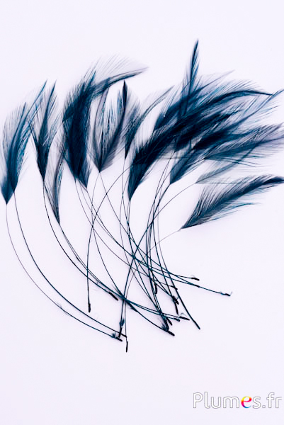 Coq filant - 10-15 cm - bleu nuit